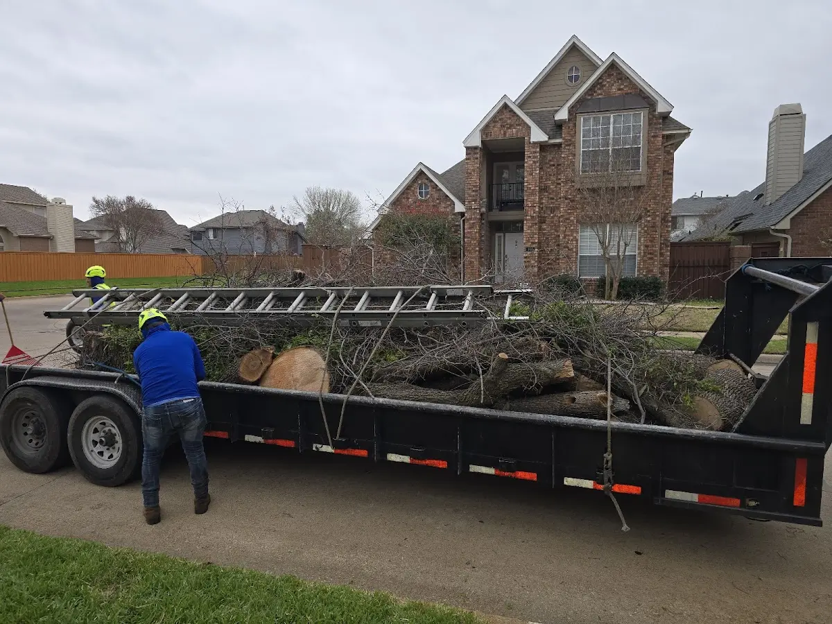 Expert Tree Fertilization with proper safety equipment in Beulah